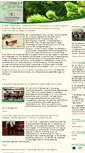 Mobile Screenshot of cluster-forstholz-bw.de